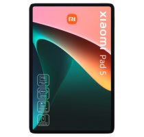 Xiaomi Xiaomi Pad 5 256 GB